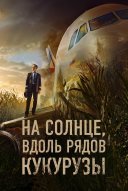На солнце, вдоль рядов кукурузы