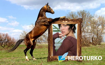 Рамка для фото - Конь с вашим фото