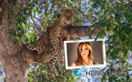 Фоторамка для фотошопа - Красивый леопард на ветке