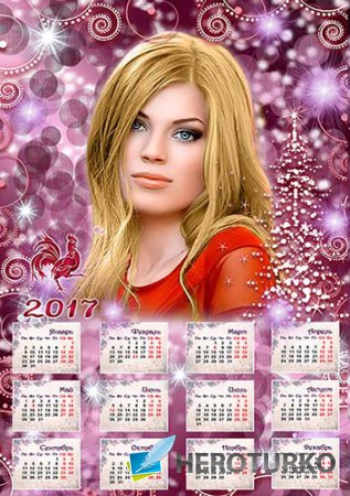 Красочный календарь на 2017 год
