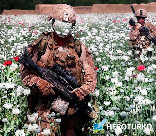 Шаблон фотошоп - Солдаты на маковом поле